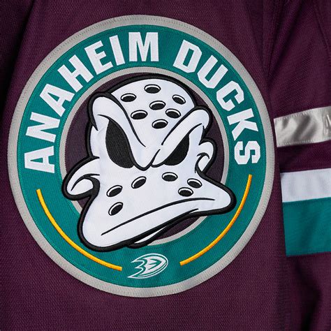 ana nhl|Anaheim Ducks 2023.